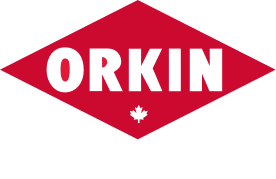 logo Orkin Canada