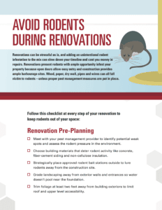 tip sheet to avoid rodents during renovations