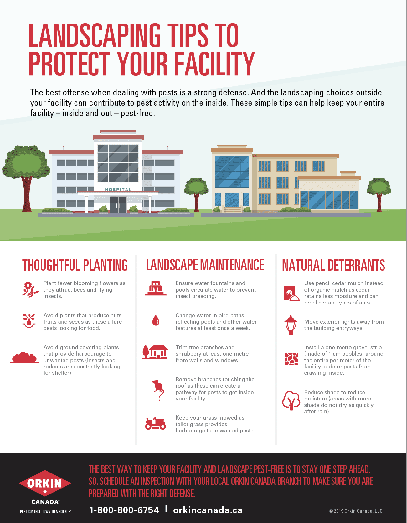 Landscaping tip sheet to protect your facility